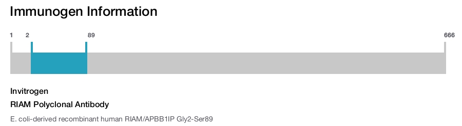 RIAM Polyclonal Antibody