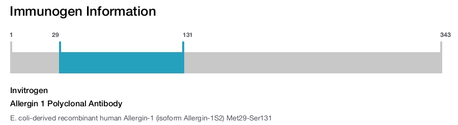 Allergin 1 Polyclonal Antibody