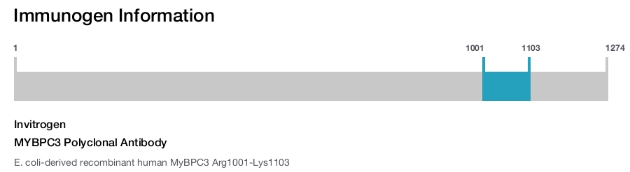 MYBPC3 Polyclonal Antibody