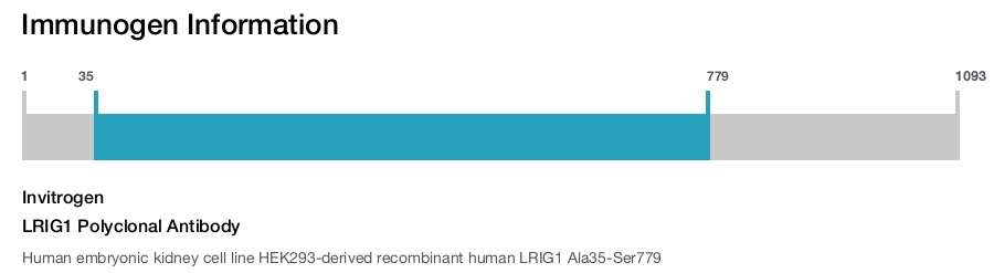 LRIG1 Polyclonal Antibody