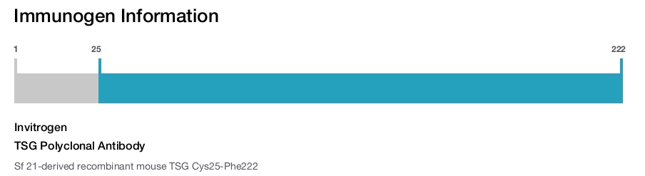 TSG Polyclonal Antibody