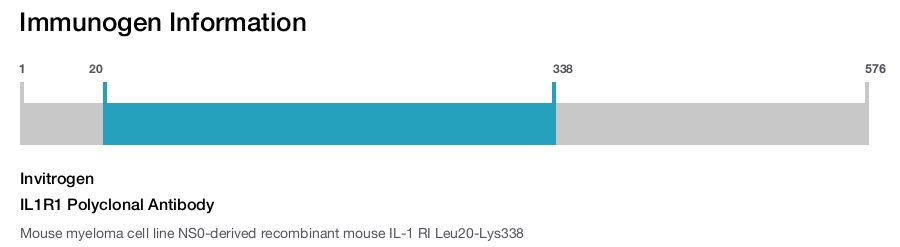 IL1R1 Polyclonal Antibody