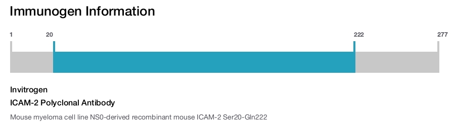 ICAM-2 Polyclonal Antibody