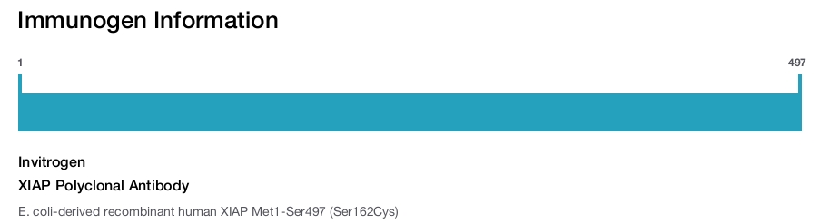 XIAP Polyclonal Antibody