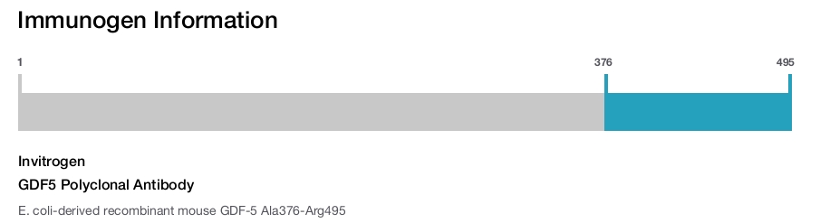 GDF5 Polyclonal Antibody