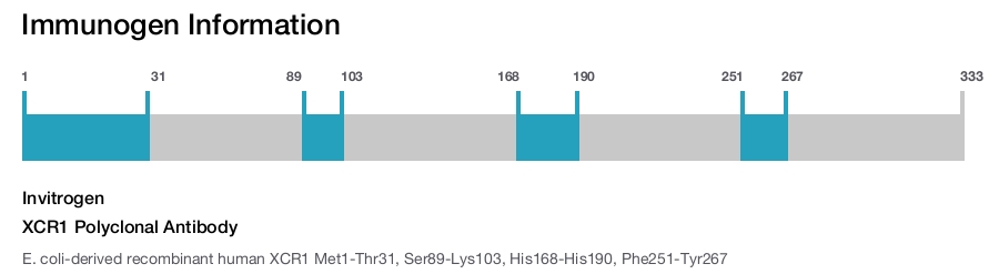 XCR1 Polyclonal Antibody