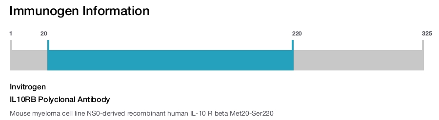 IL10RB Polyclonal Antibody