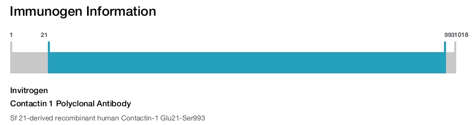 Contactin 1 Polyclonal Antibody