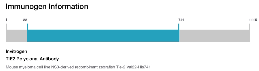TIE2 Polyclonal Antibody