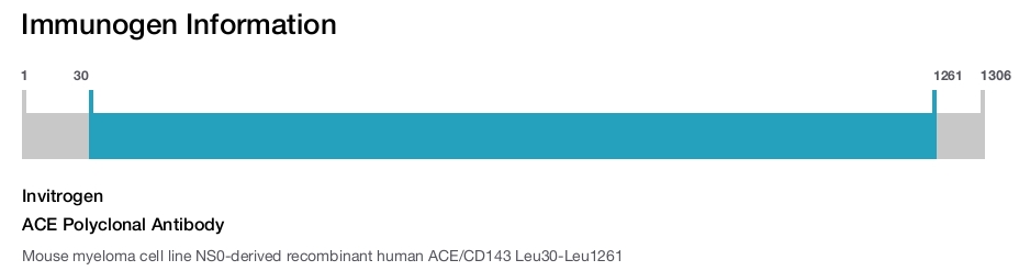 ACE Polyclonal Antibody