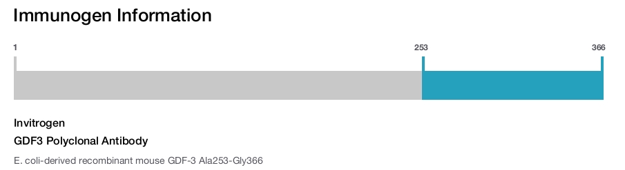 GDF3 Polyclonal Antibody