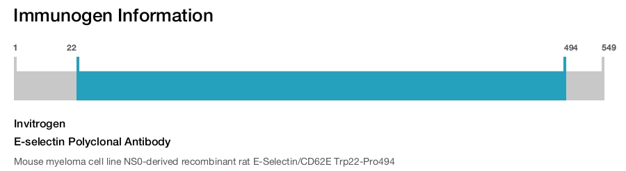 E-selectin Polyclonal Antibody