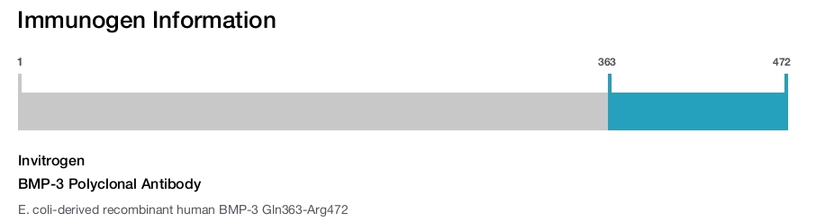 BMP-3 Polyclonal Antibody