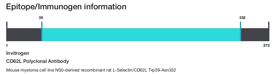 CD62L Polyclonal Antibody