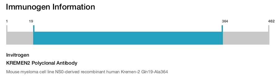 KREMEN2 Polyclonal Antibody