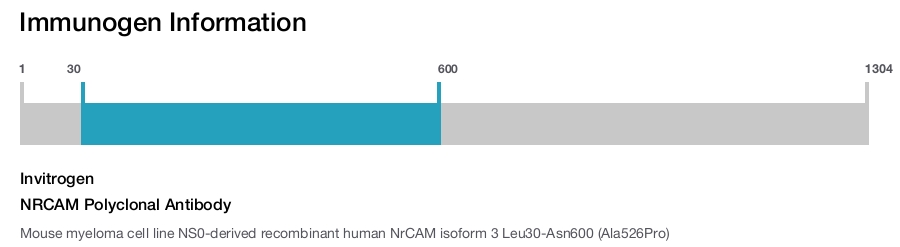 NRCAM Polyclonal Antibody