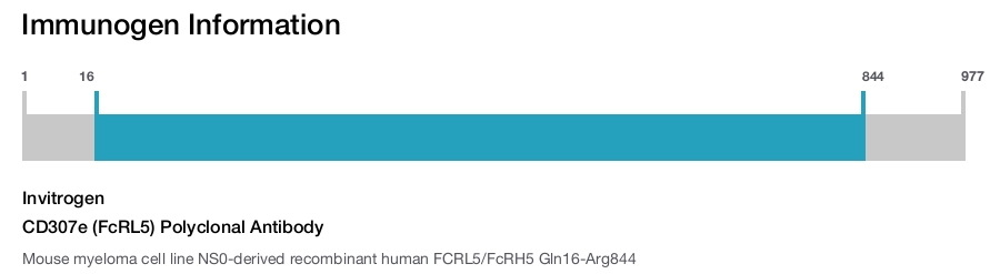 CD307e (FcRL5) Polyclonal Antibody