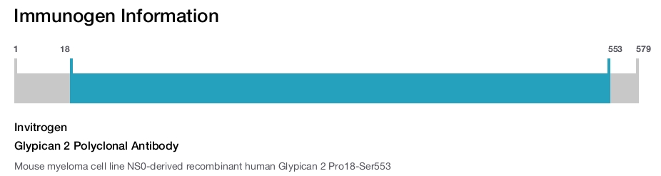 Glypican 2 Polyclonal Antibody
