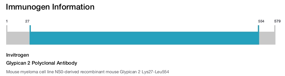 Glypican 2 Polyclonal Antibody