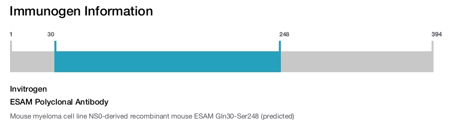 ESAM Polyclonal Antibody