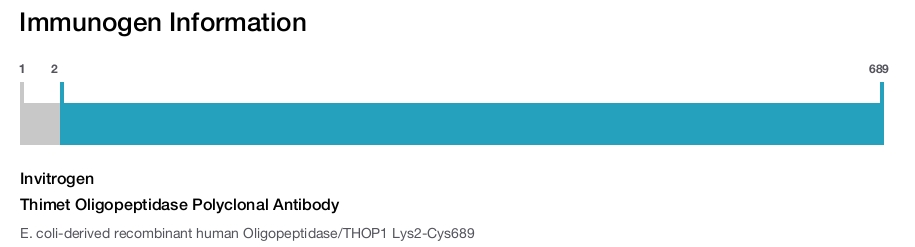 Thimet Oligopeptidase Polyclonal Antibody