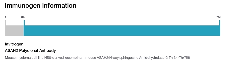 ASAH2 Polyclonal Antibody