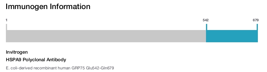 HSPA9 Polyclonal Antibody