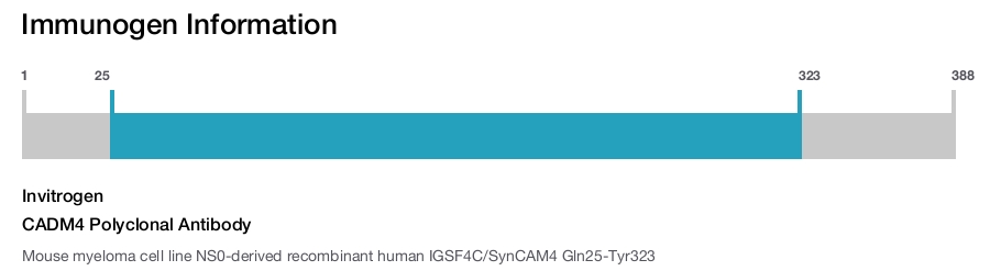 CADM4 Polyclonal Antibody