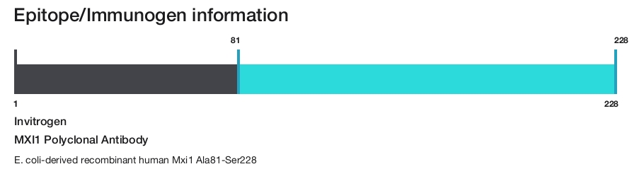 MXI1 Polyclonal Antibody