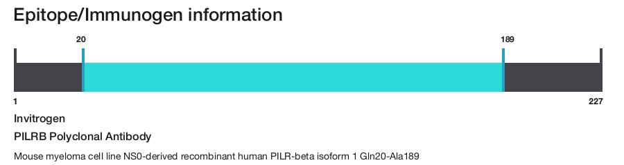 PILRB Polyclonal Antibody
