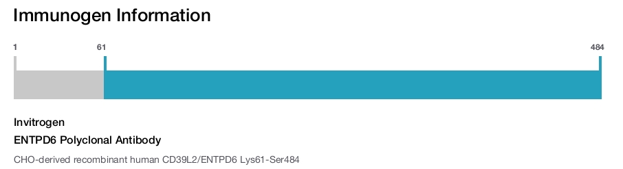 ENTPD6 Polyclonal Antibody