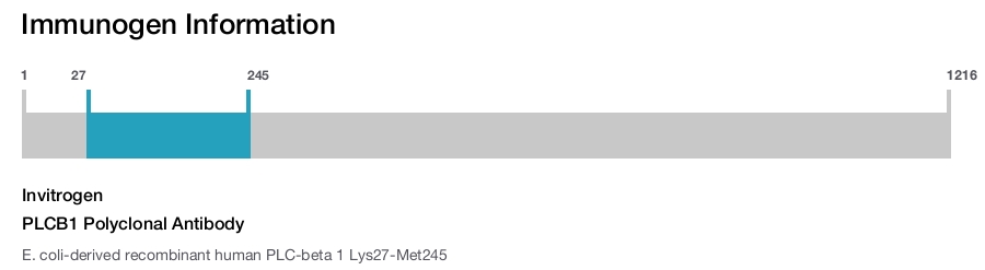 PLCB1 Polyclonal Antibody