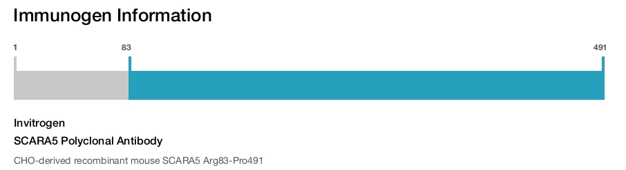 SCARA5 Polyclonal Antibody