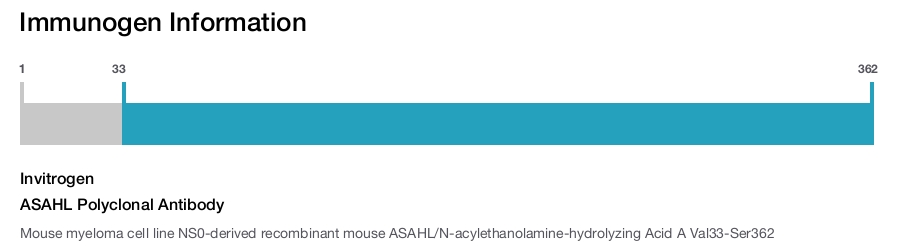 ASAHL Polyclonal Antibody