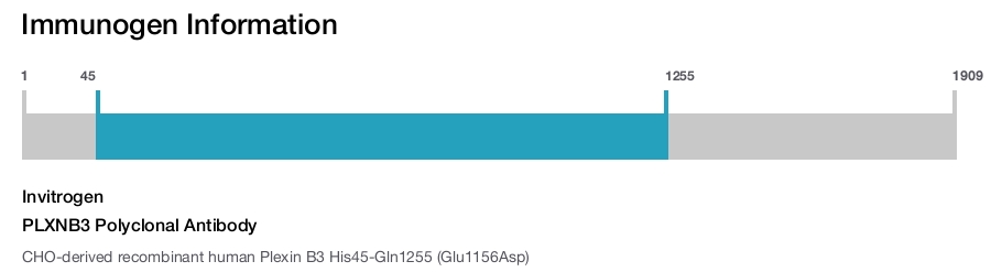 PLXNB3 Polyclonal Antibody