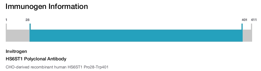 HS6ST1 Polyclonal Antibody