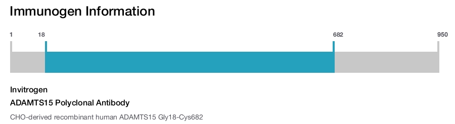 ADAMTS15 Polyclonal Antibody
