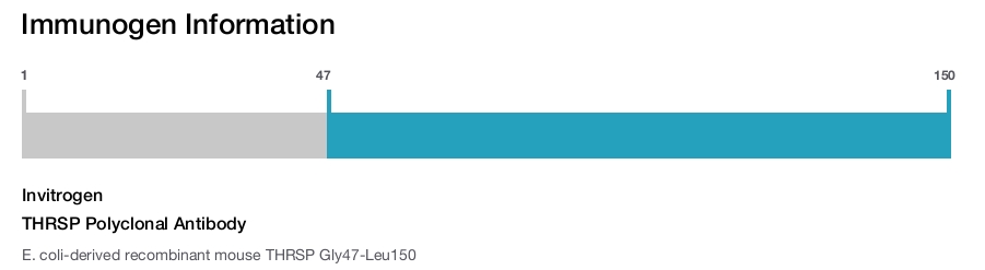 THRSP Polyclonal Antibody