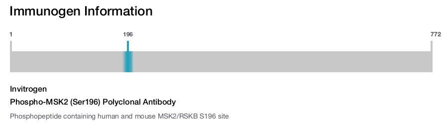 Phospho-MSK2 (Ser196) Polyclonal Antibody