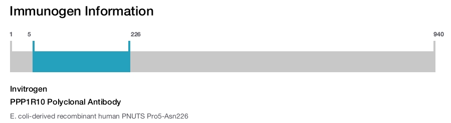 PPP1R10 Polyclonal Antibody