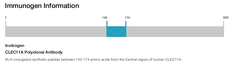 CLEC11A Polyclonal Antibody