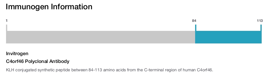 C4orf46 Polyclonal Antibody