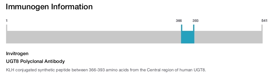 UGT8 Polyclonal Antibody
