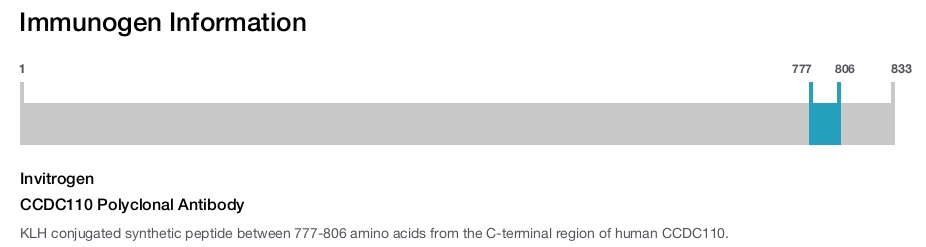 CCDC110 Polyclonal Antibody