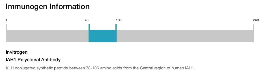 IAH1 Polyclonal Antibody