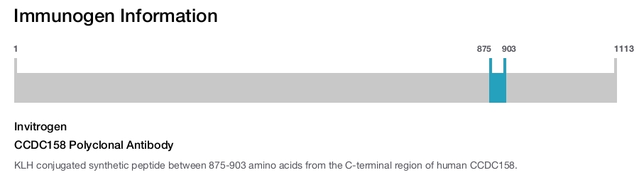 CCDC158 Polyclonal Antibody