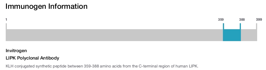LIPK Polyclonal Antibody