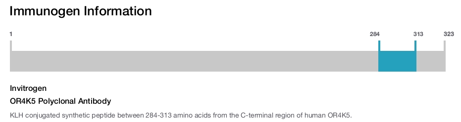 OR4K5 Polyclonal Antibody