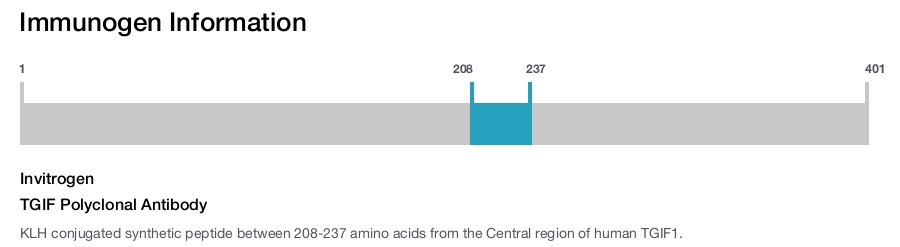 TGIF Polyclonal Antibody