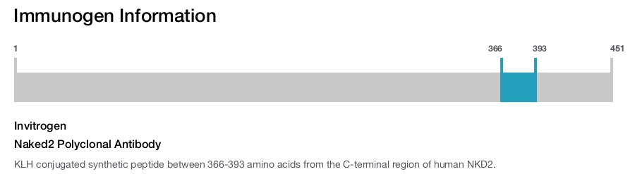 Naked2 Polyclonal Antibody
